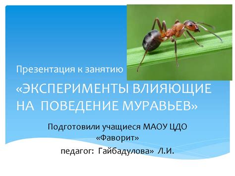 Природные и искусственные факторы, влияющие на популяцию муравьев жнецов