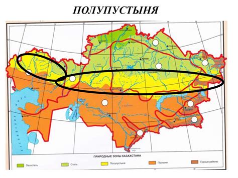 Природные пояса и природные зоны