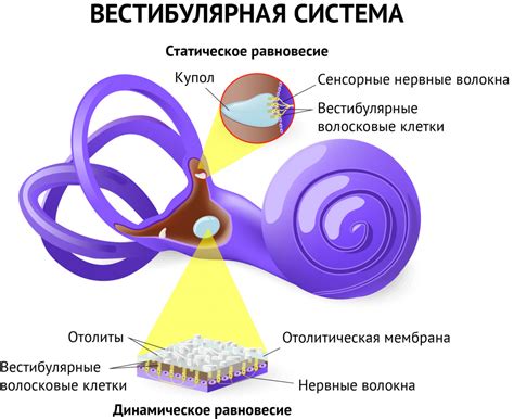 Причины возникновения тошноты и головокружения