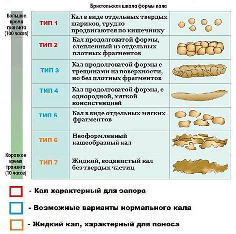 Причины жесткого стула у собаки