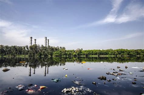 Причины загрязнения воды