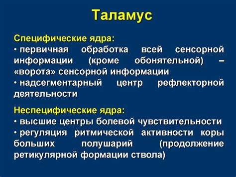 Причины органического поражения хвостатого ядра