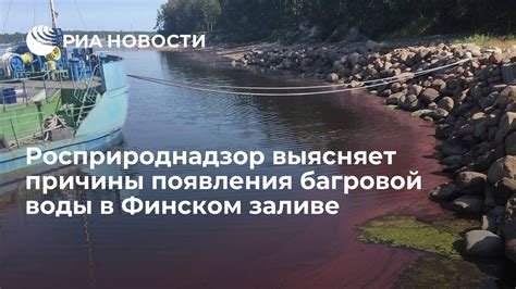 Причины появления воды