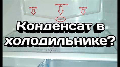 Причины появления воды в холодильнике