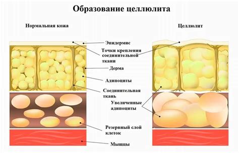 Причины появления опухания