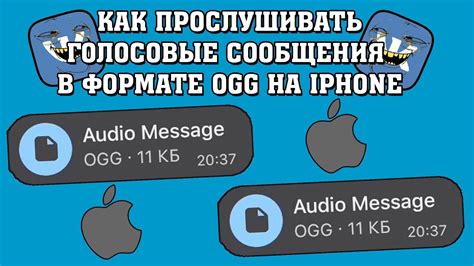 Проблемы и решения при открытии ogg на iPhone