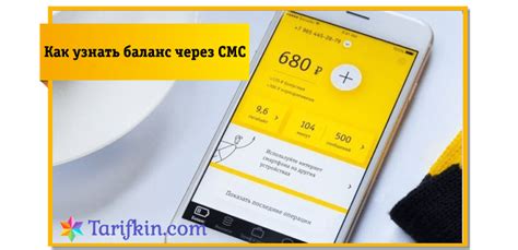 Проверка баланса через SMS-услугу