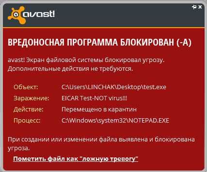 Проверка наличия вирусов с помощью антивирусного ПО