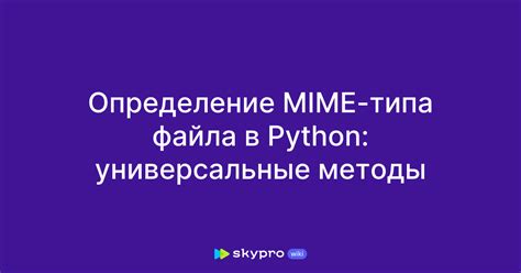 Проверка MIME-типа