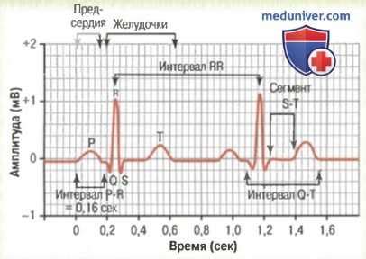 Прогнозирование патологий на основе дыхание-ЭКГ взаимосвязи