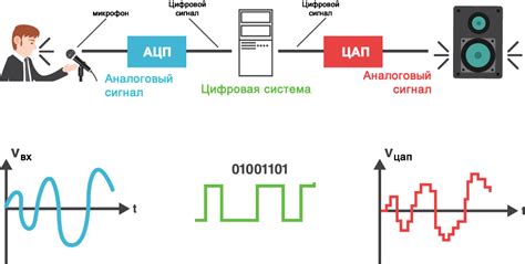 Программирование и обработка сигналов