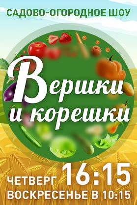 Проконсультируйтесь с юристом по долговым вопросам