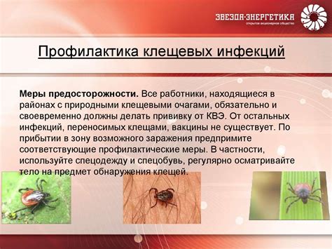 Профилактика клещевых укусов и переносимых заболеваний