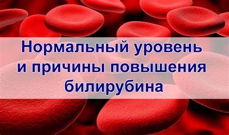 Профилактика повышения билирубина