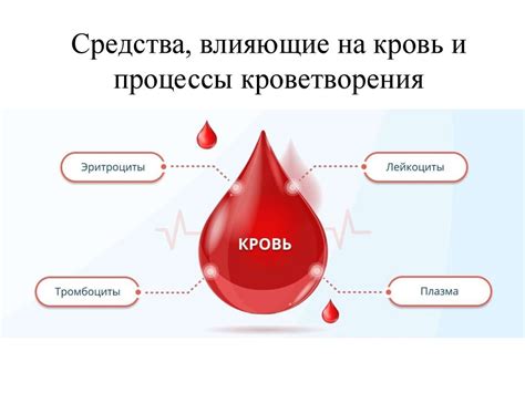 Процессы кроветворения