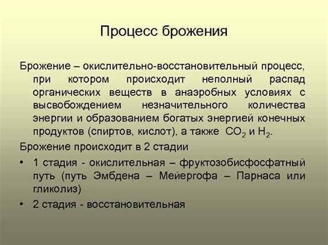 Процесс брожения и выдержки