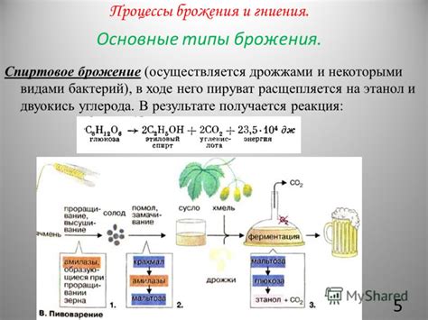 Процесс брожения и сохранения