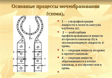 Процесс вторичной записи ключа: