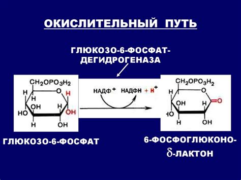 Процесс превращения глюкозы в сахар