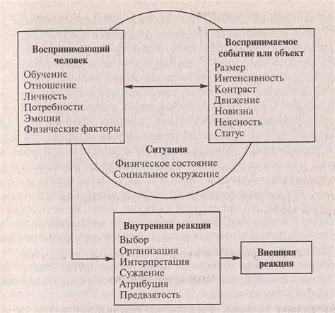 Процесс формирования межбровной арки