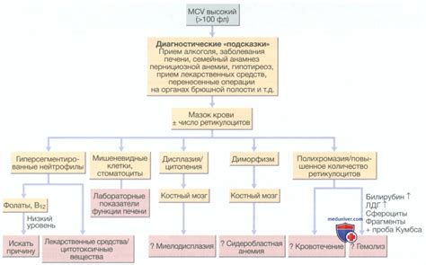 Проявление внутренних комплексов