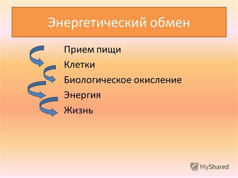 Проявление жизненных признаков на аппарате ВГРТ