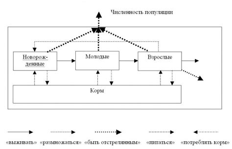 Проявление на практике