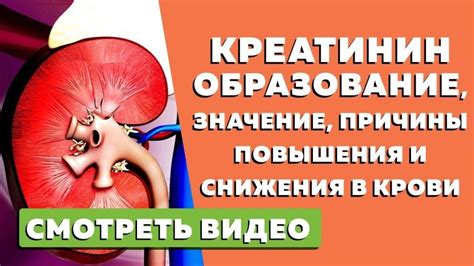 Проявления повышенного креатинина