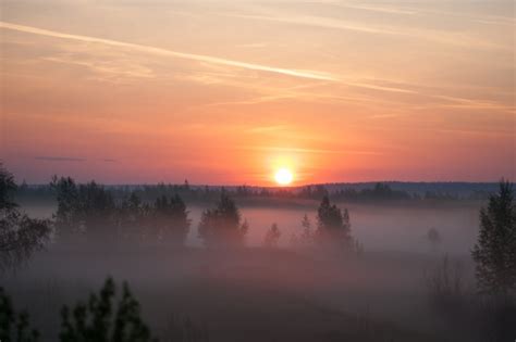 Проявления природы