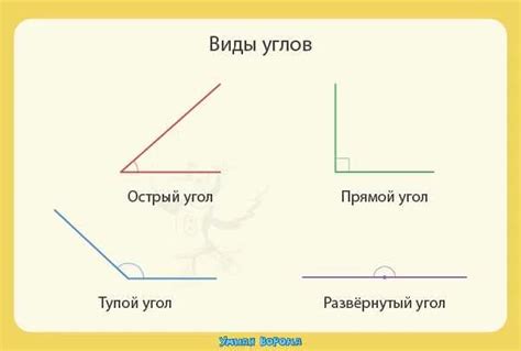 Прямой угол и его свойства