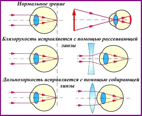 Работа оптики глаза: основные механизмы