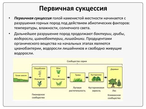 Развитие отдельных экосистем