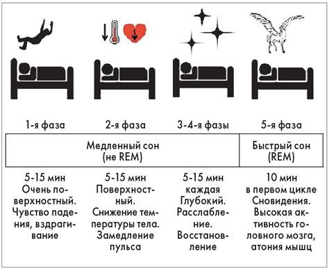 Раздел 1: Необходимость глубокого сна