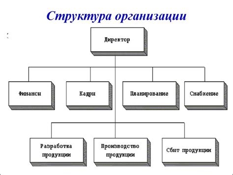 Различия в структуре и организации