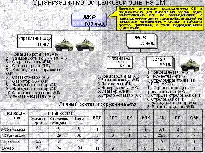 Размер, вооружение, боевое назначение