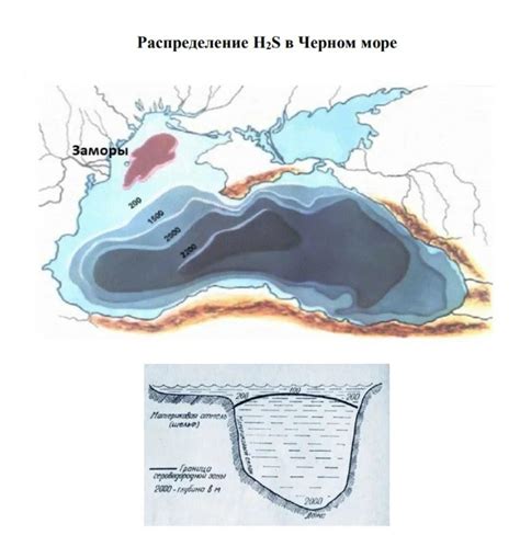 Размер проблемы: сероводород в Черном море