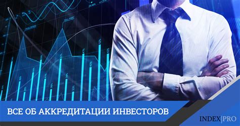 Разнообразие портфолио инвесторов: почему это важно