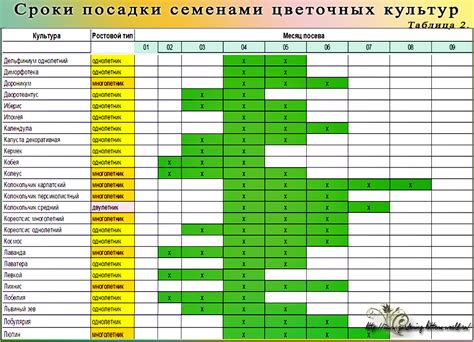 Расписание посадки цветов