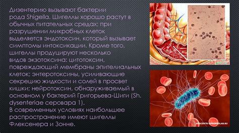 Распространение бактерий и инфекций