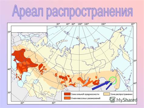 Распространение видов в России