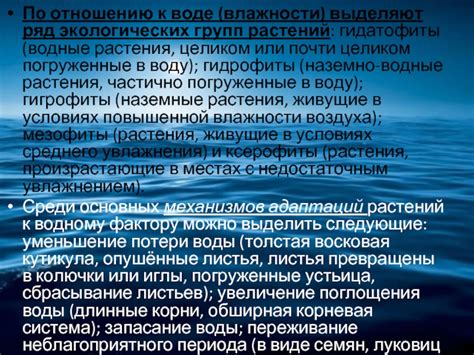 Растения и другие способы поглощения влажности