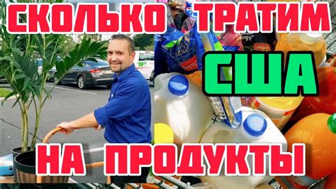 Расходы на продукты и бытовые товары