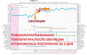 Расширение дополнительных симптомов после овуляции