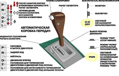 Расшифровка буквы D на вариаторе