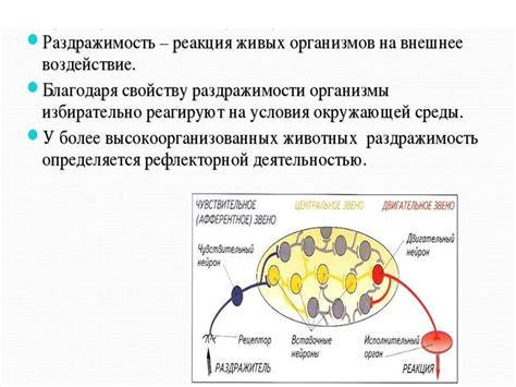 Реакция на внешние раздражители