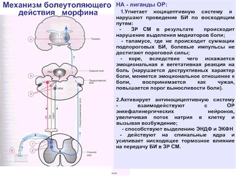 Реакция на эмоциональное возбуждение