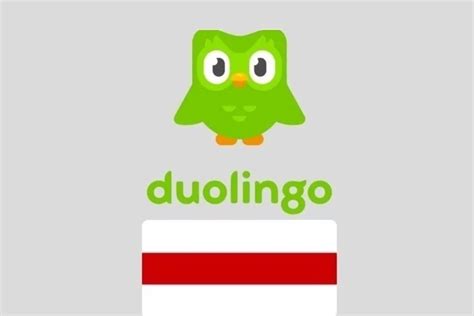 Регистрация и первые шаги на платформе Duolingo