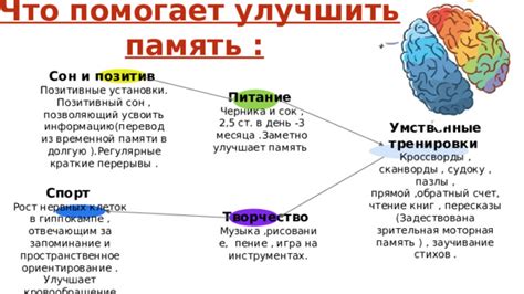 Регулярные умственные тренировки