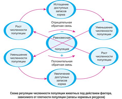 Регуляция популяции