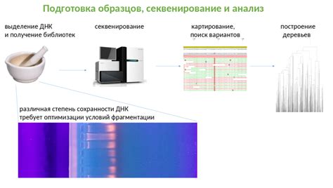 Результаты генетического микса